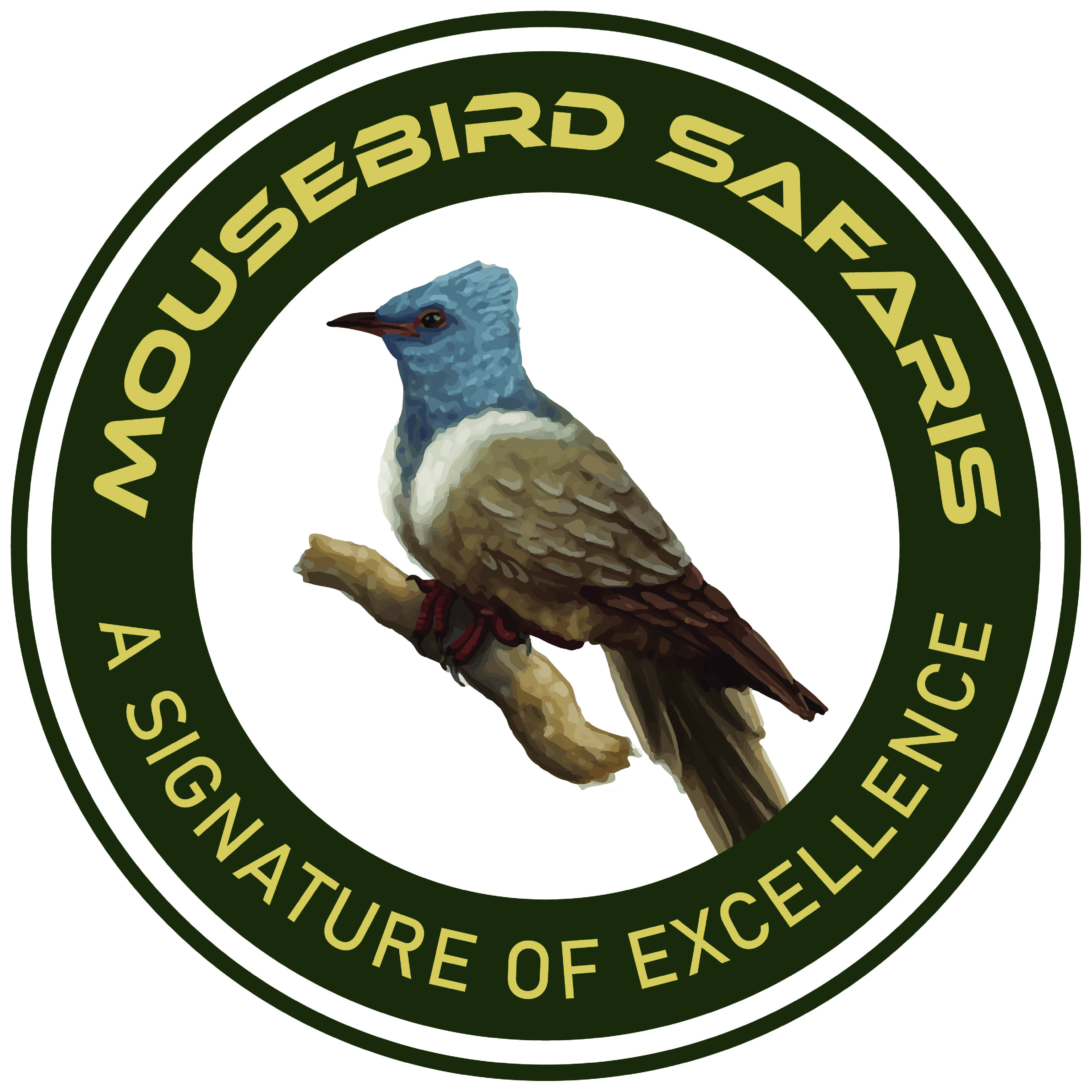 Mousebird Africa Safaris