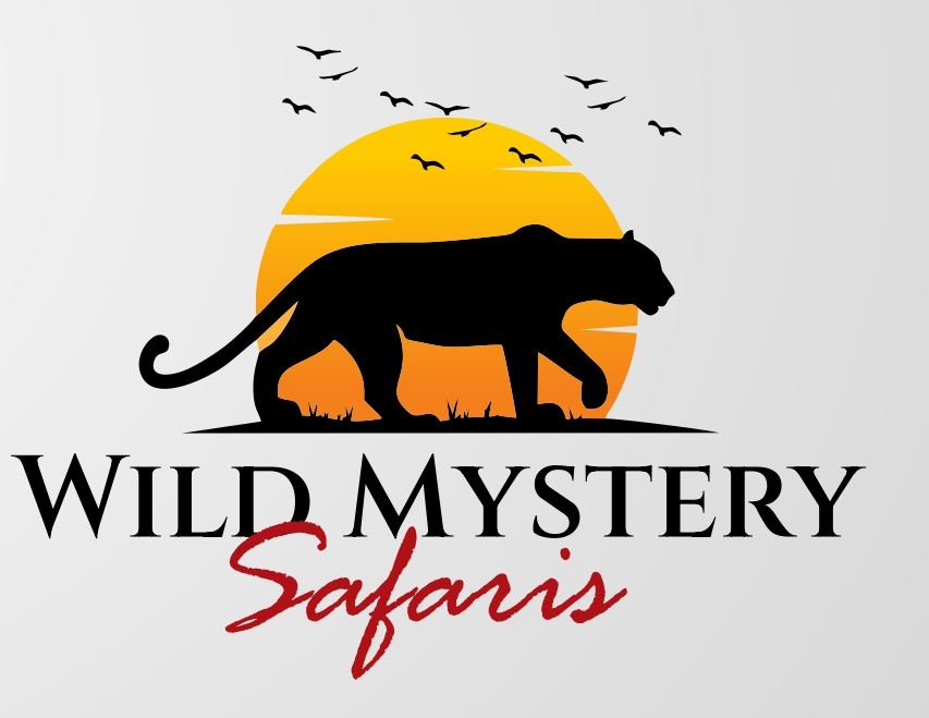 Wild Mystery Safaris
