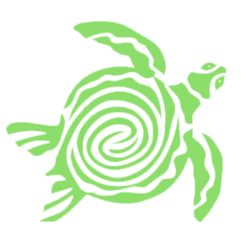 Turtle Fins Adventure