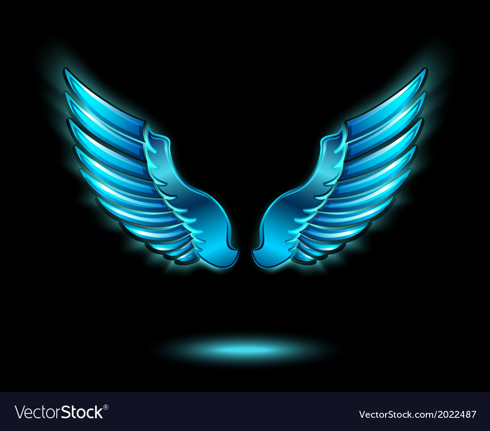Wings To Fly Tours