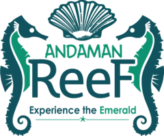 Andaman Reef Travels