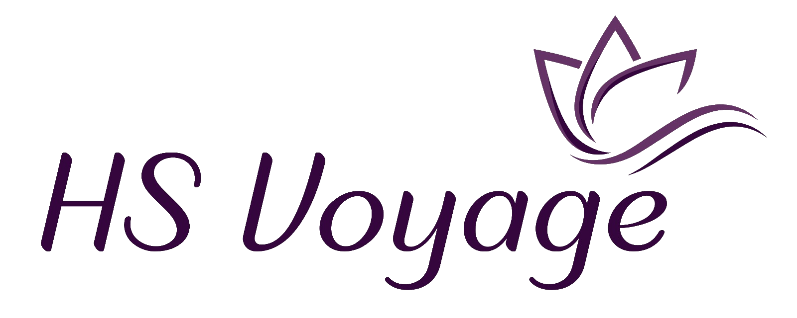 Hs Voyage ( Pvt) Ltd