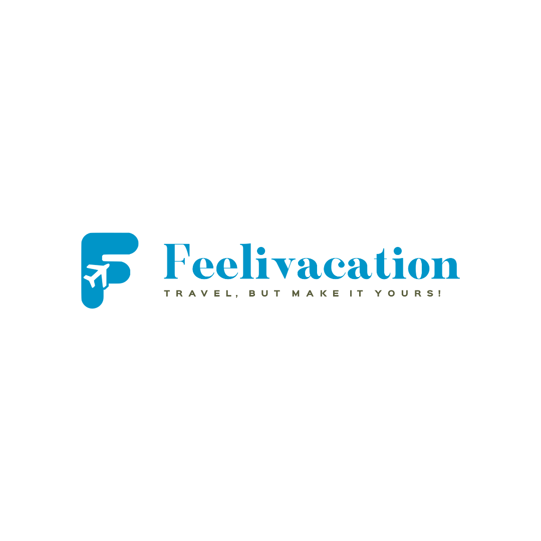 Travel Agent - Feelivacation Travel & Wellness Pvt Ltd
