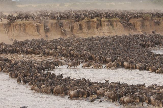 5 Days Lake Naivasha, Maasai Mara & Lake Nakuru 5 Days Lake Naivasha, Maasai Mara & Lake Nakuru
