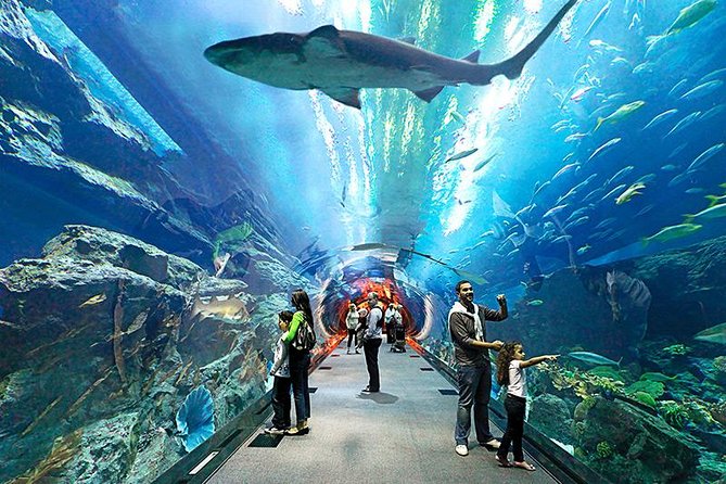 Thailand Tour Package 5N 6D (Pattaya, Bangkok, Phuket) Thailand Tour Package 5N 6D (Pattaya, Bangkok, Phuket)