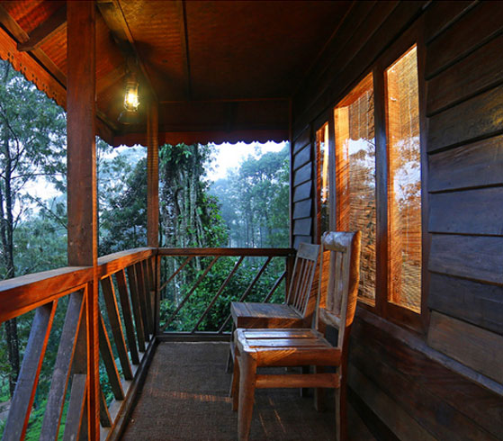 5D/4N - Kerala Tour Package - Compact Kerala | Hoseboat 5D/4N - Kerala Tour Package - Compact Kerala | Hoseboat