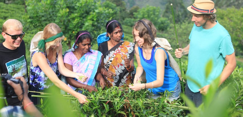 Evergreen Sri Lanka Tour Option 02 Evergreen Sri Lanka Tour Option 02