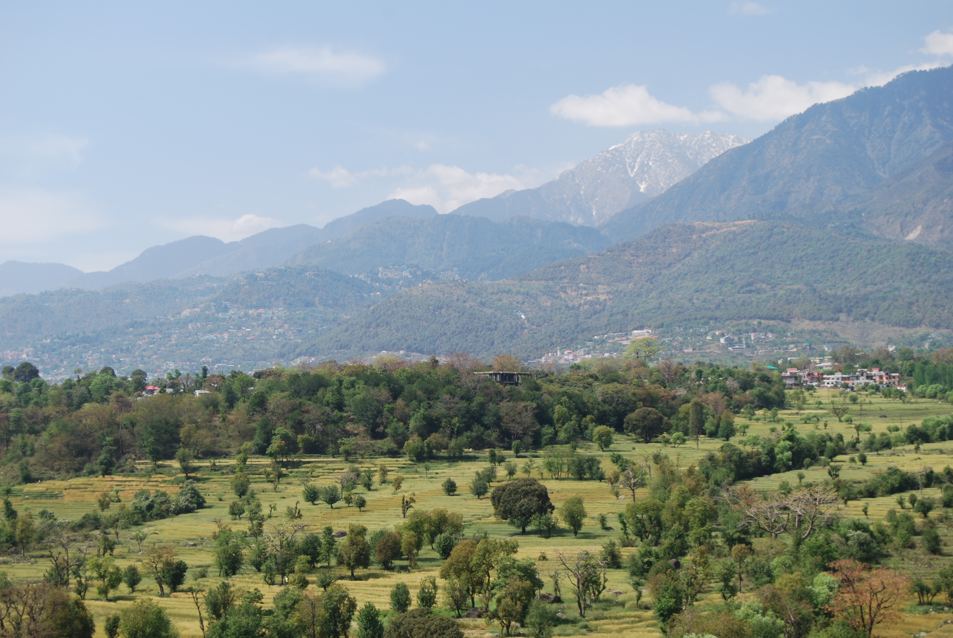 Kangra Valley Tour by Volvo