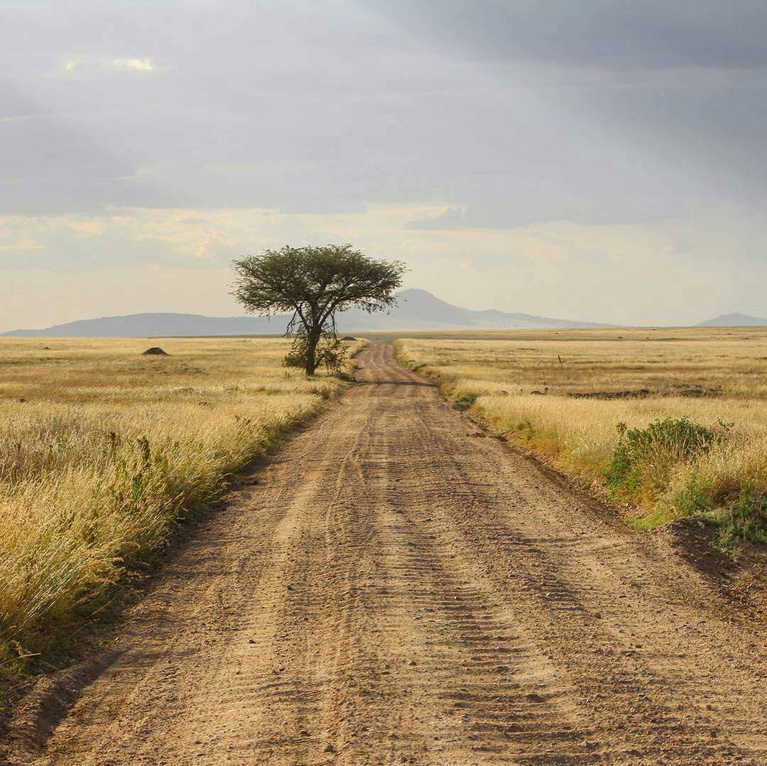 4 Days / 3 Nights Safari 4 Days / 3 Nights Safari
