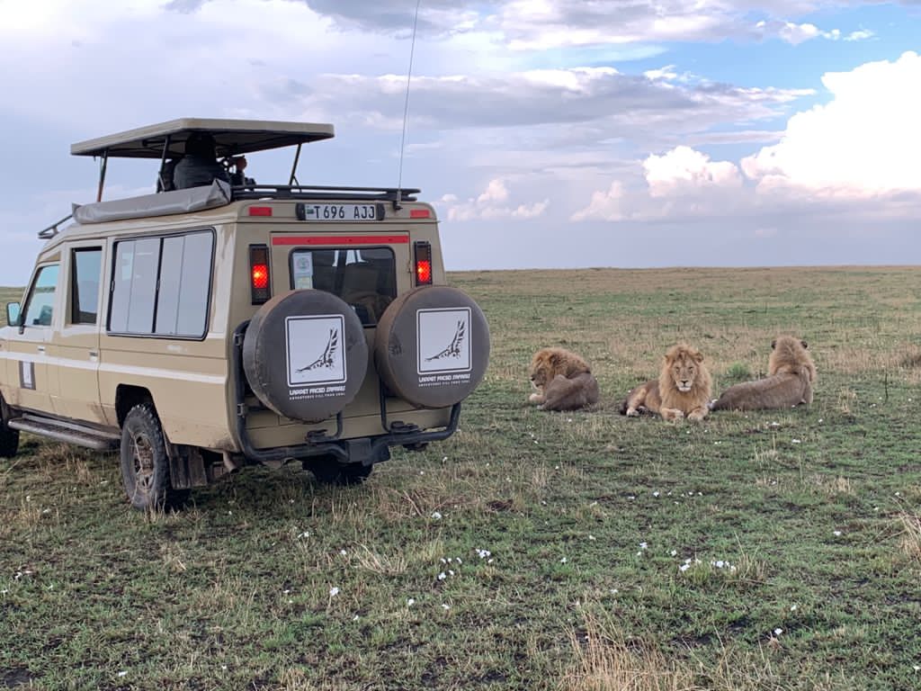 7-Day Journey of the Wildebeest - Mid-Range 7-Day Journey of the Wildebeest - Mid-Range