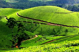 KERALA BUDGET PACKAGE Rs.7999/-