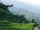 Kerala Honeymoon Tour package !!!