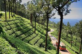 Holidays in Coorg