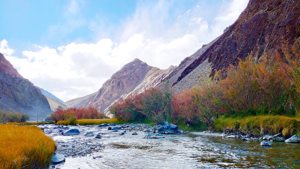 KASHMIR HONEYMOON PACKAGE KASHMIR HONEYMOON PACKAGE