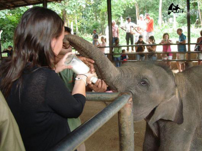 04 DAYS LUXURY TOUR IN SRI LANKA FOR A COUPLE (KANDY,NUWARA ELIYA,COLOMBO) 04 DAYS LUXURY TOUR IN SRI LANKA FOR A COUPLE (KANDY,NUWARA ELIYA,COLOMBO)