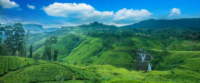 05 DAYS LUXURY NATURE TOUR (KANDY,NUWARA ELIYA,BENTOTA,COLOMBO) 05 DAYS LUXURY NATURE TOUR (KANDY,NUWARA ELIYA,BENTOTA,COLOMBO)