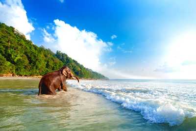 3 Nights 4 Days Tour Package to Port Blair, Havelock