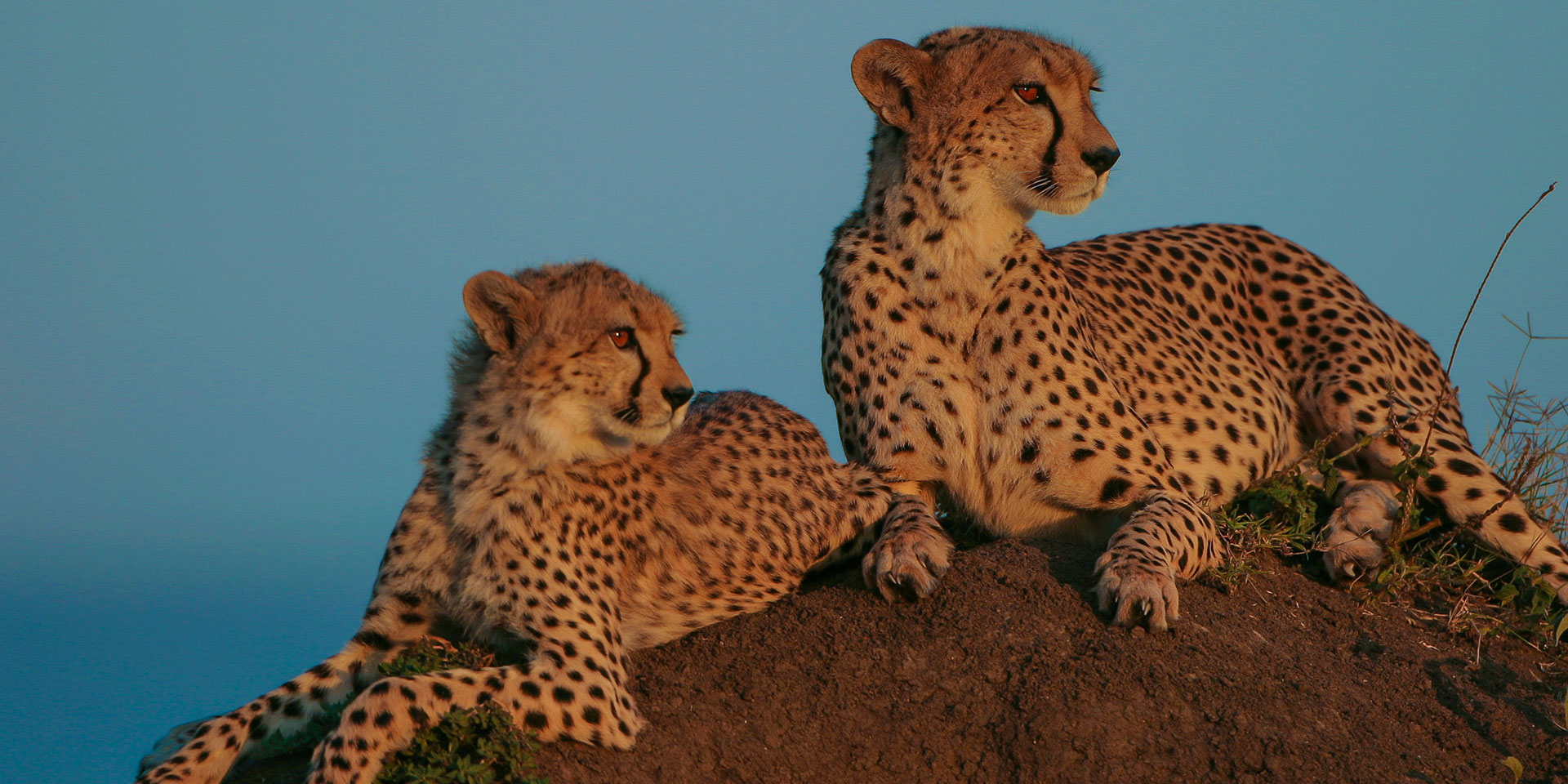 4 Days Lake Nakuru & Maasai Mara Safari 4 Days Lake Nakuru & Maasai Mara Safari