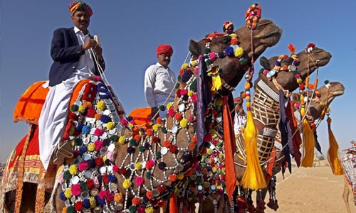 Feel of Kings, Rajasthan Feel of Kings, Rajasthan