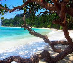 4N-5 Days Andaman Exotic Tour Package