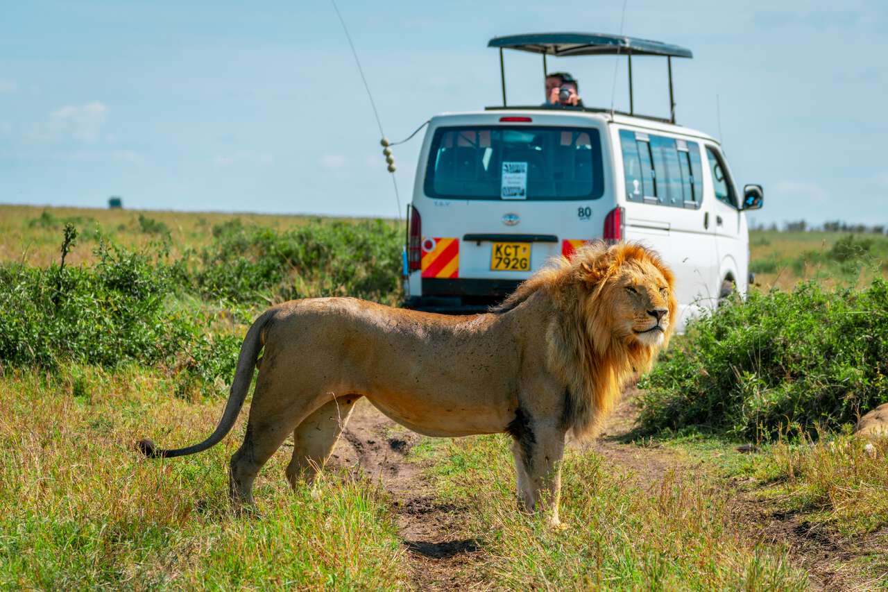 2 Nights 3 Days Tour Package to Masai Mara National Reserve