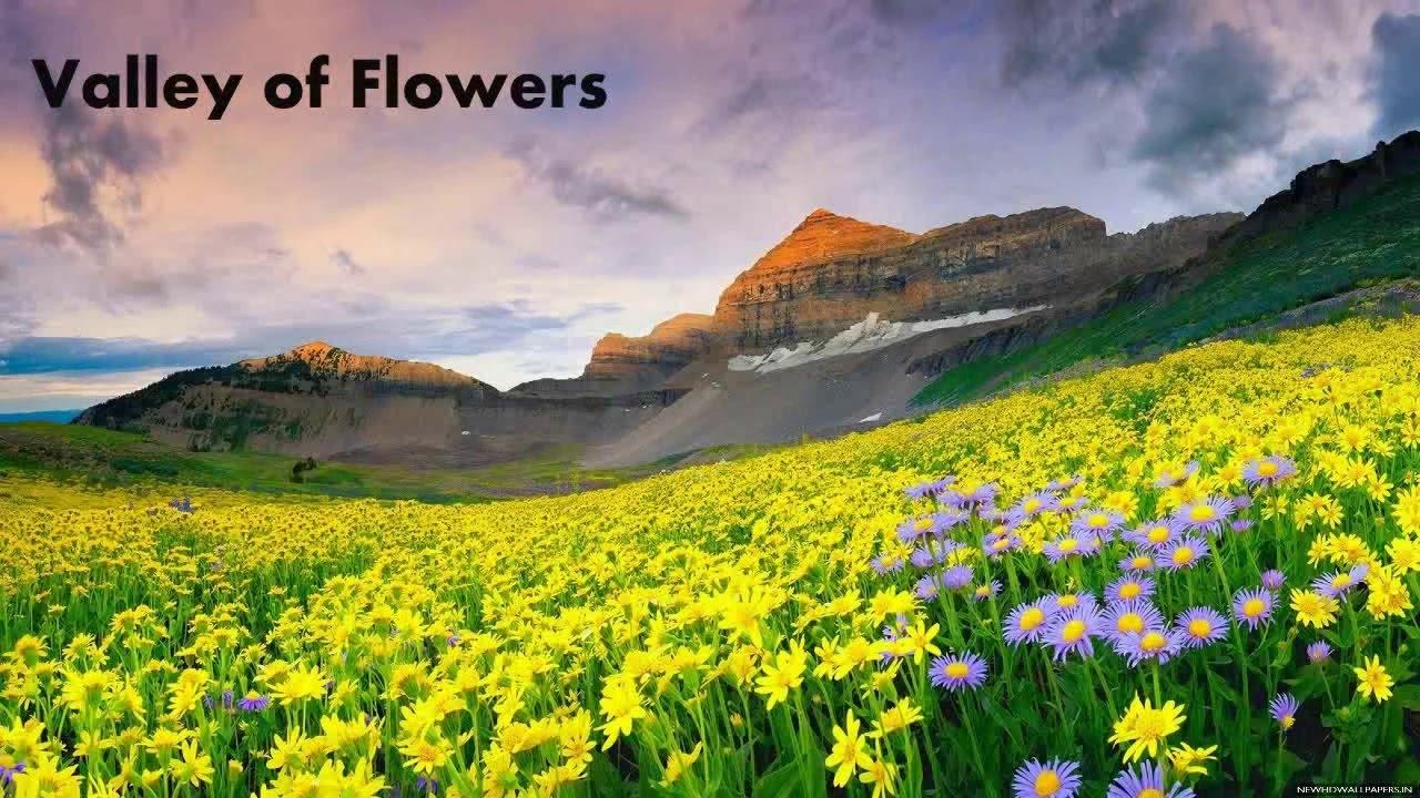 THE VALLEY OF FLOWER WITH HEMKUND SHAIB