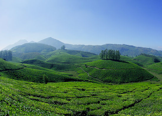 4D/3N - Kerala Tour Package - Hills & Backawaters I Hotel Stay 4D/3N - Kerala Tour Package - Hills & Backawaters I Hotel Stay