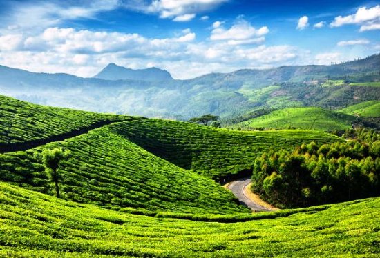 4D/3N - Kerala Tour Package - Hills & Backawaters