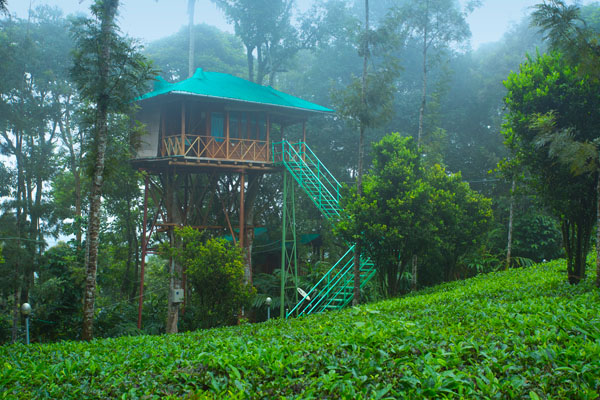 Kerala Honeymoon Tour Package Kerala Honeymoon Tour Package