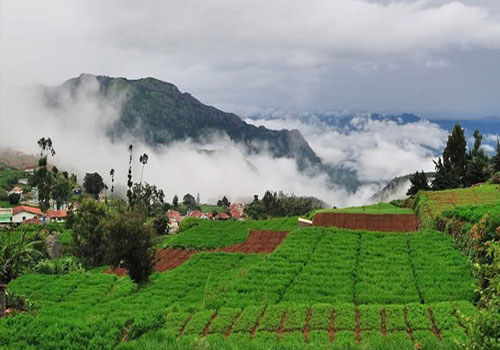 Honeymoon in Kashmir