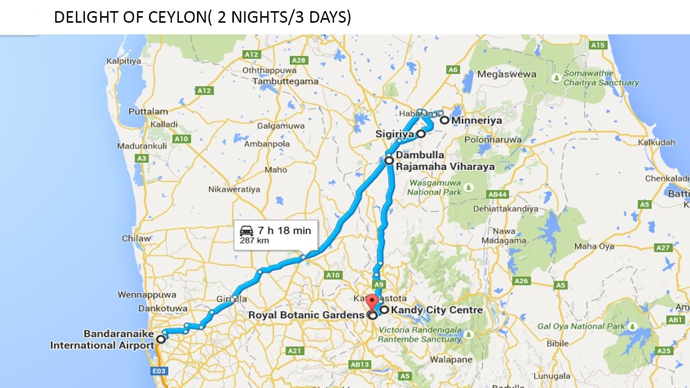 DELIGHT OF CEYLON