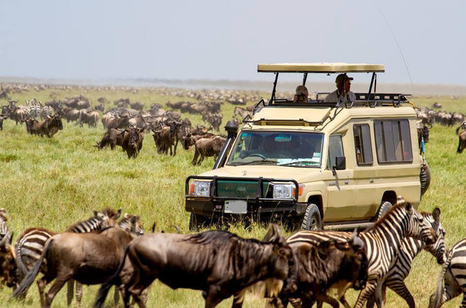 TANZANIA - SERENGETI AND NGORONGORO TANZANIA - SERENGETI AND NGORONGORO