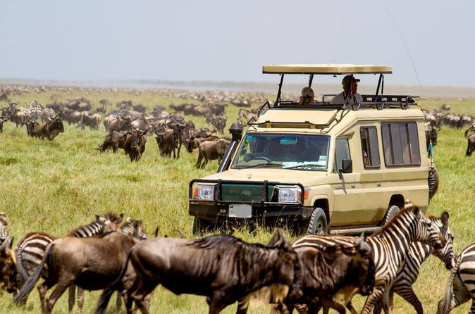 TANZANIA - SERENGETI AND NGORONGORO