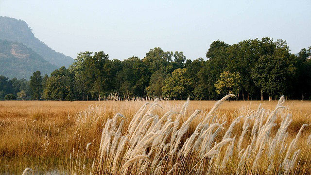 Best Time To Visit: Bandhavgarh National Park Best Time To Visit: Bandhavgarh National Park