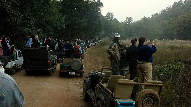 Bandhavgarh Jungle Safaris: Bandhavgarh National Park Bandhavgarh Jungle Safaris: Bandhavgarh National Park