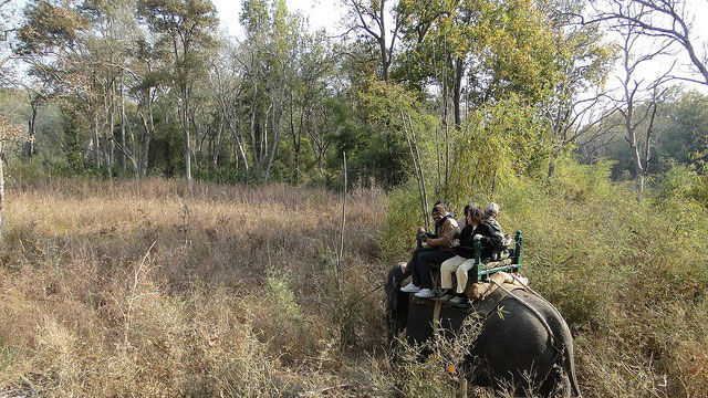 Kanha Jungle Safaris: Kanha National Park Kanha Jungle Safaris: Kanha National Park