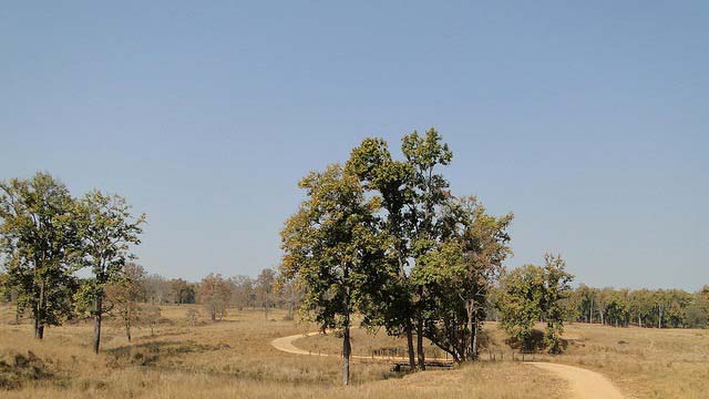 Weather and Best Time To Visit: Kanha National Park