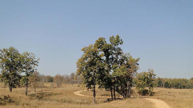 Weather and Best Time To Visit: Kanha National Park Weather and Best Time To Visit: Kanha National Park
