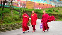 Sikkim Tour Packages